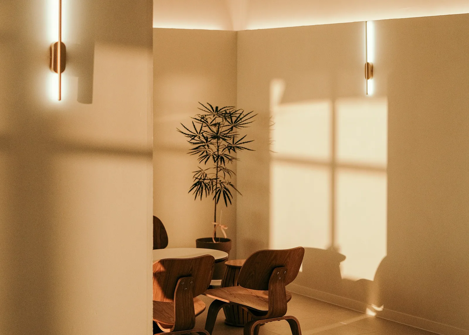 Warm, naturally lit office seating area